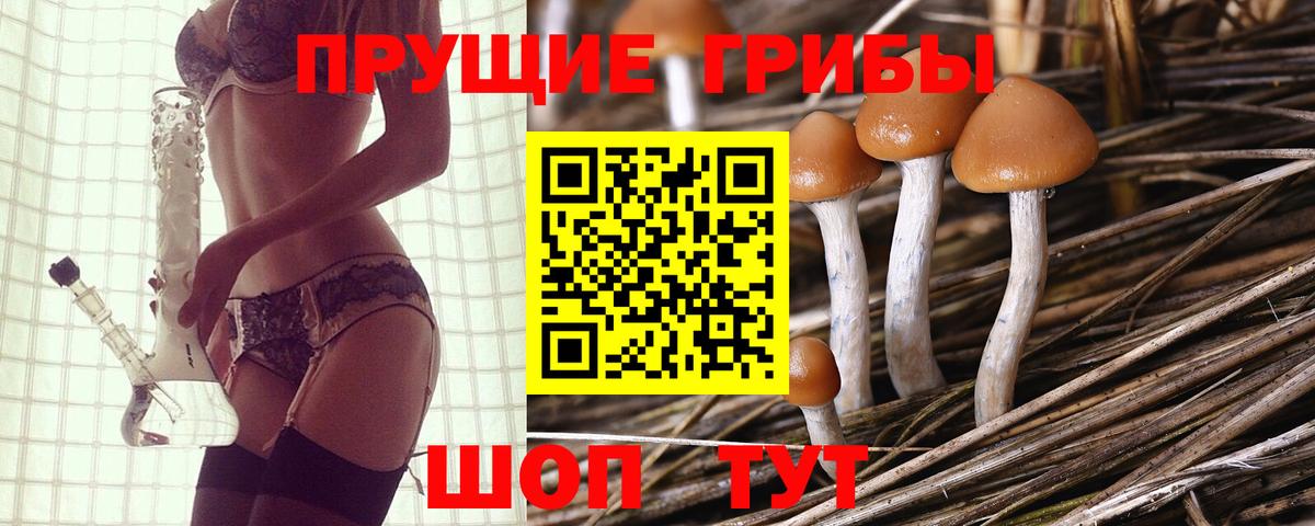 Галлюциногенные грибы мухоморы  Вход с VPN  Борисоглебск  Галлюциногенные грибы Psilocybe 